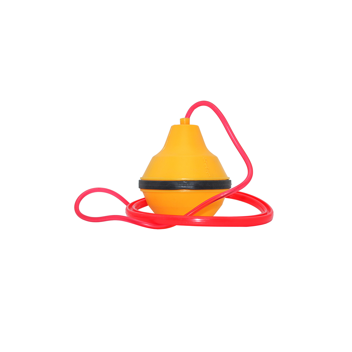 ورزشی