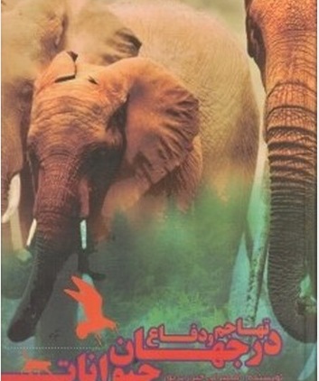 مجموعه تهاجم و دفاع در جهان حیوانات آموزشی کودک.......... کد216